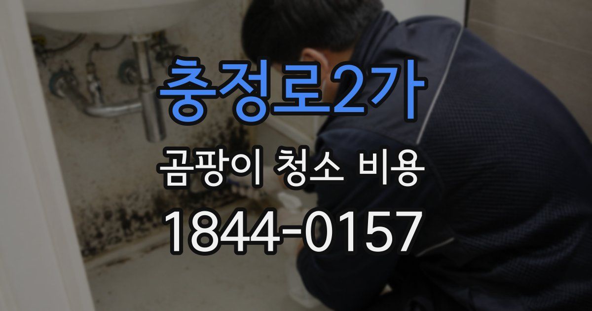 충정로2가 곰팡이 청소 비용