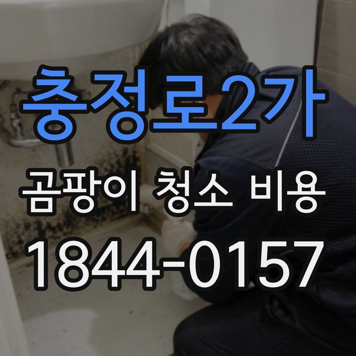 충정로2가 곰팡이 청소 비용