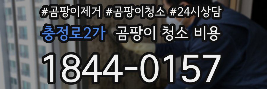 충정로2가 곰팡이 청소 비용