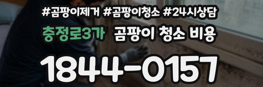 충정로3가 곰팡이 청소 비용