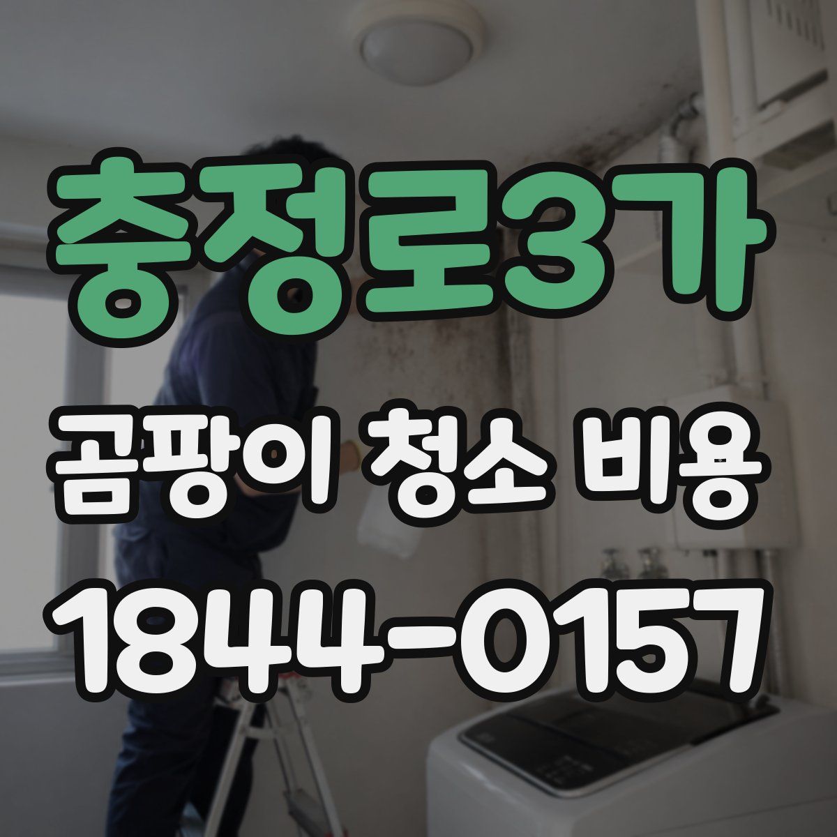 충정로3가 곰팡이 청소 비용