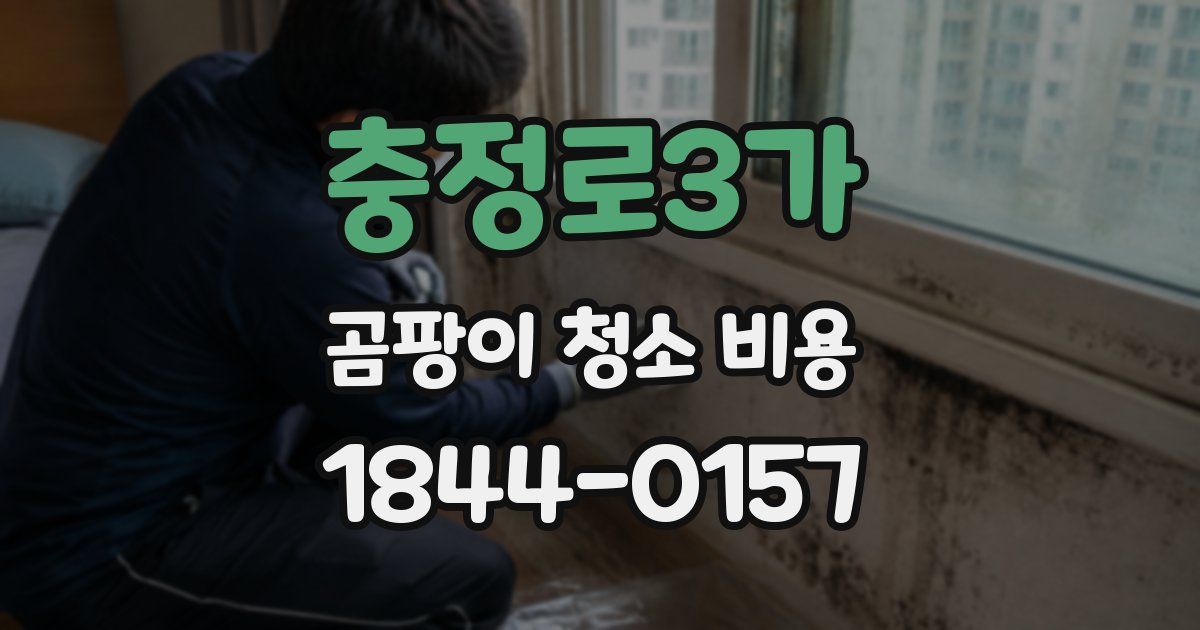충정로3가 곰팡이 청소 비용