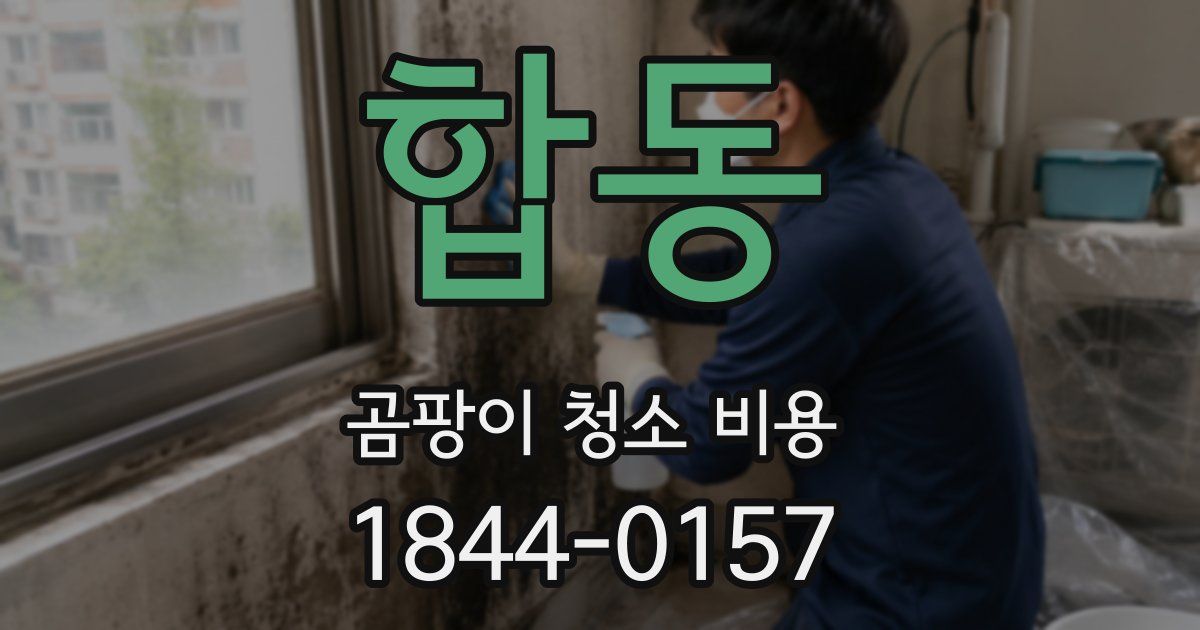 합동 곰팡이 청소 비용