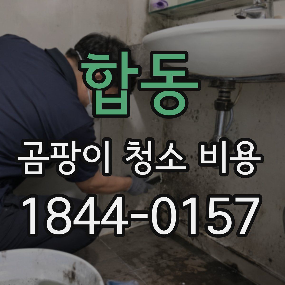 합동 곰팡이 청소 비용