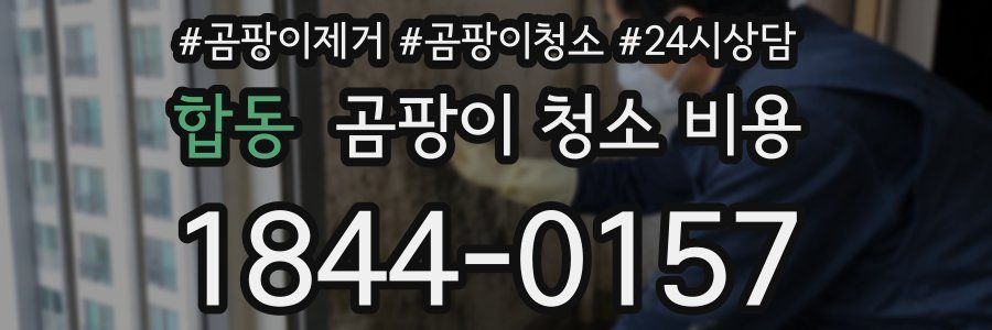 합동 곰팡이 청소 비용