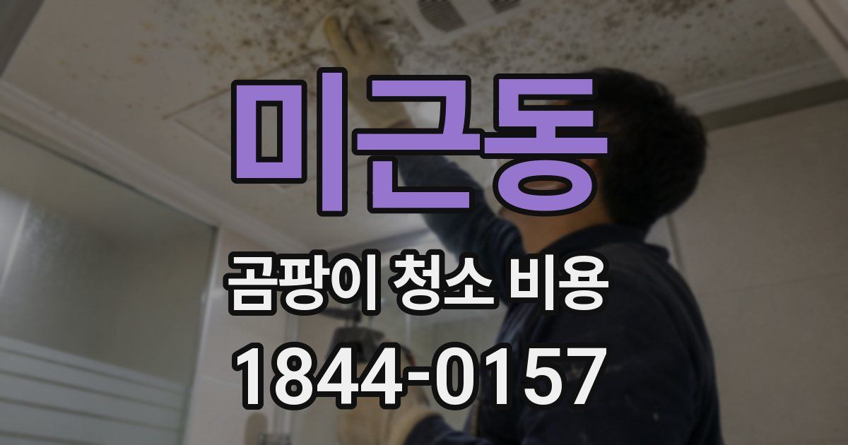 미근동 곰팡이 청소 비용