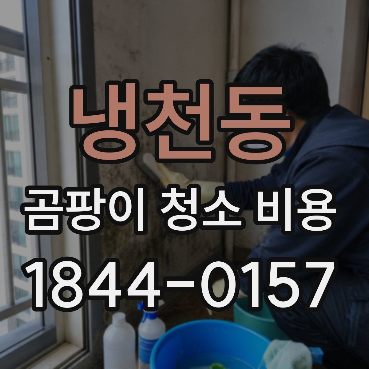 냉천동 곰팡이 청소 비용