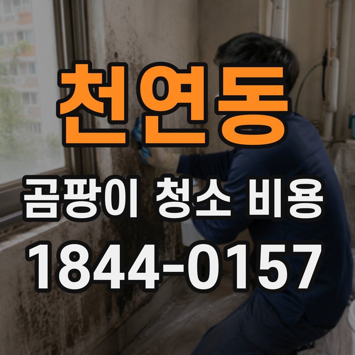 천연동 곰팡이 청소 비용 원룸과 오피스텔에서 자주 묻는 점