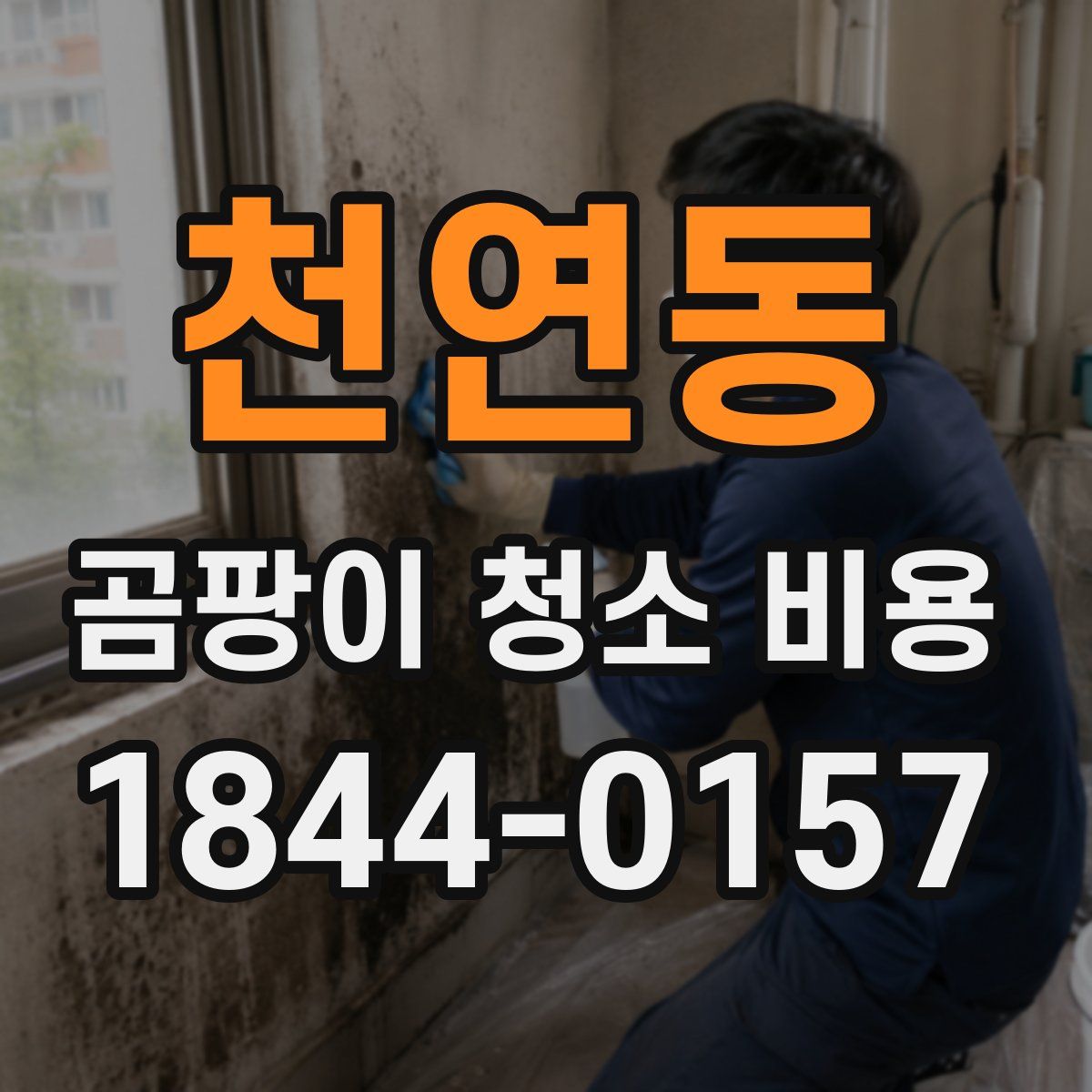 천연동 곰팡이 청소 비용
