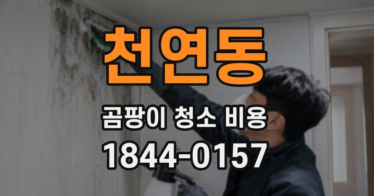 천연동 곰팡이 청소 비용