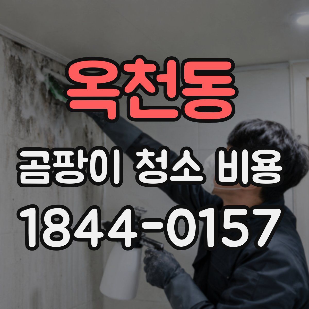 옥천동 곰팡이 청소 비용