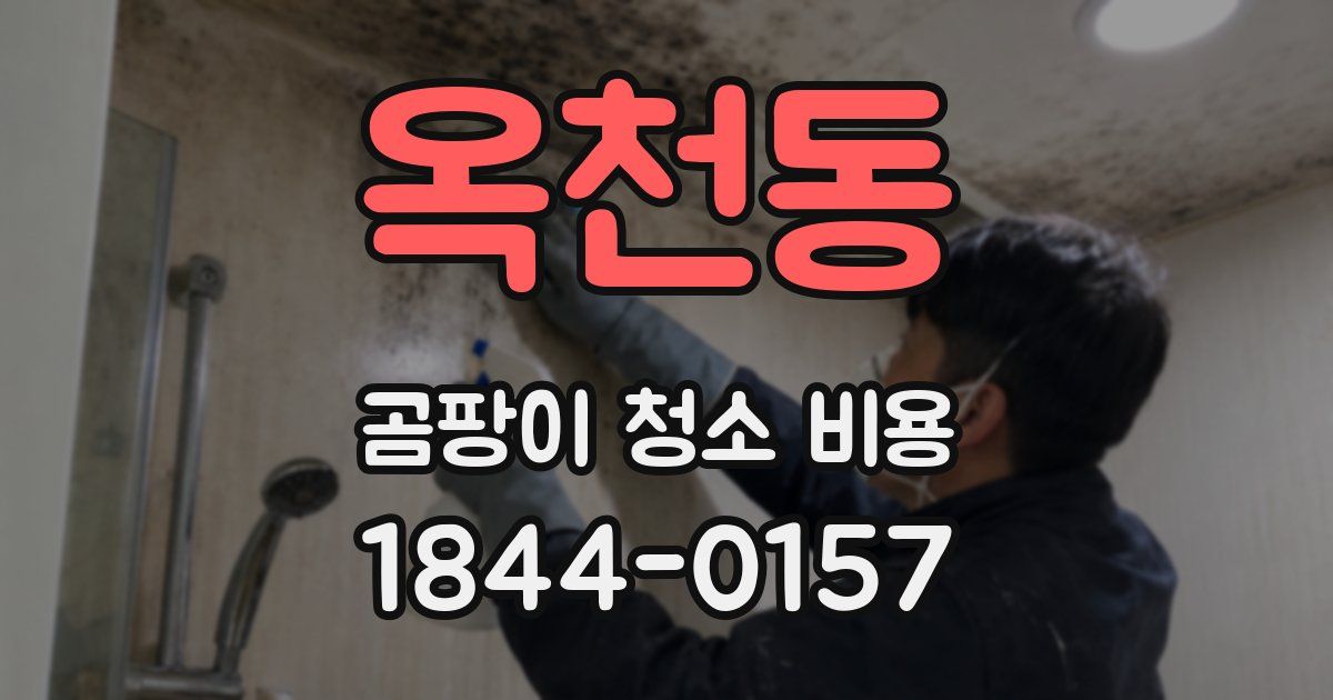 옥천동 곰팡이 청소 비용