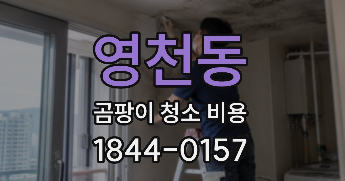 영천동 곰팡이 청소 비용
