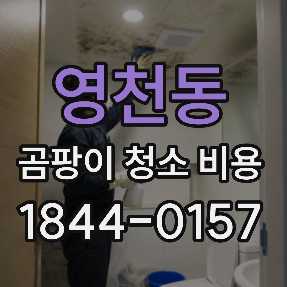 영천동 곰팡이 청소 비용