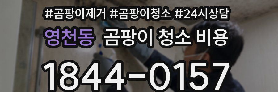 영천동 곰팡이 청소 비용