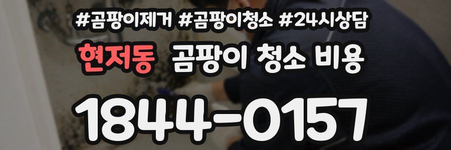 현저동 곰팡이 청소 비용