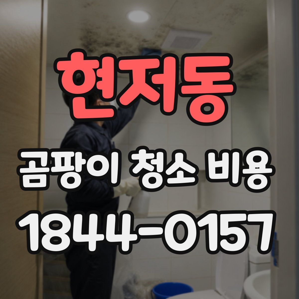 현저동 곰팡이 청소 비용