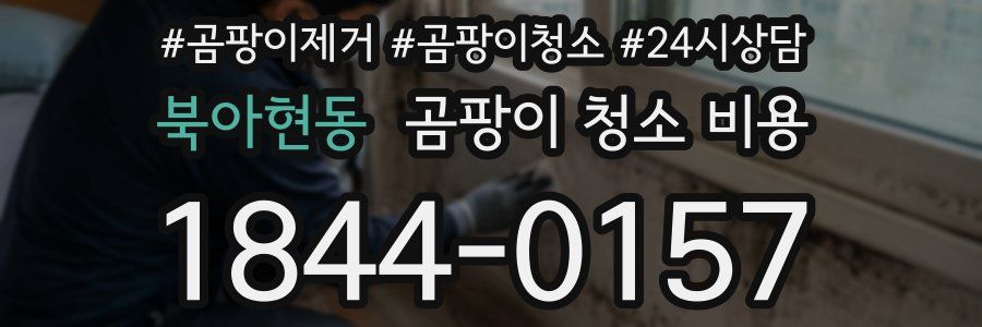 북아현동 곰팡이 청소 비용