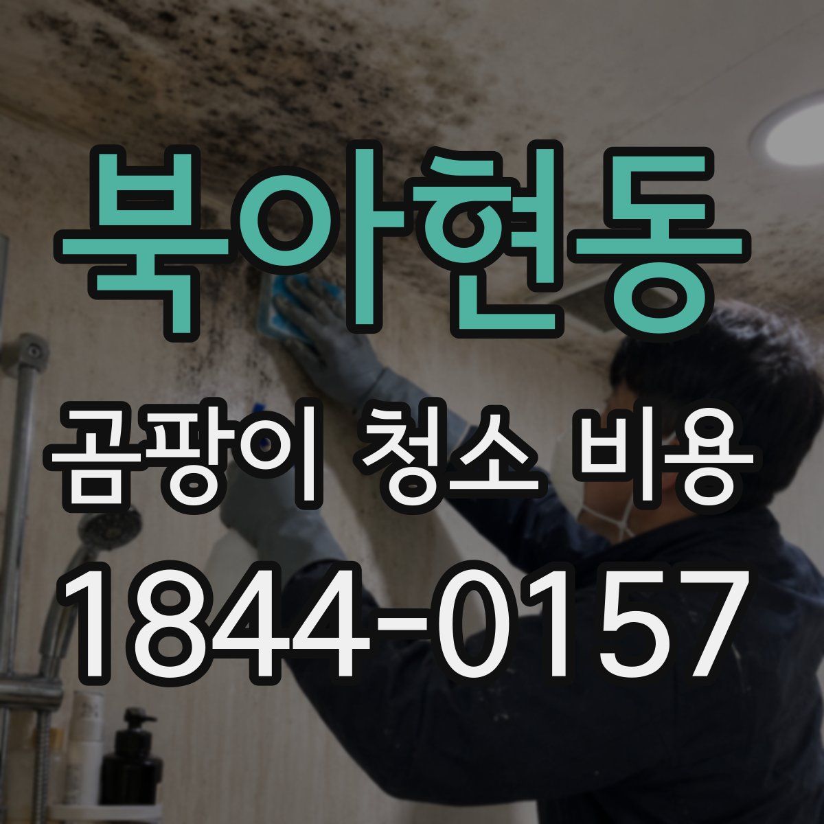 북아현동 곰팡이 청소 비용