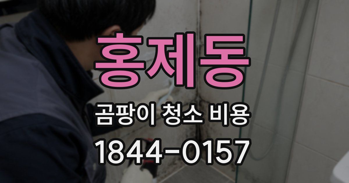 홍제동 곰팡이 청소 비용