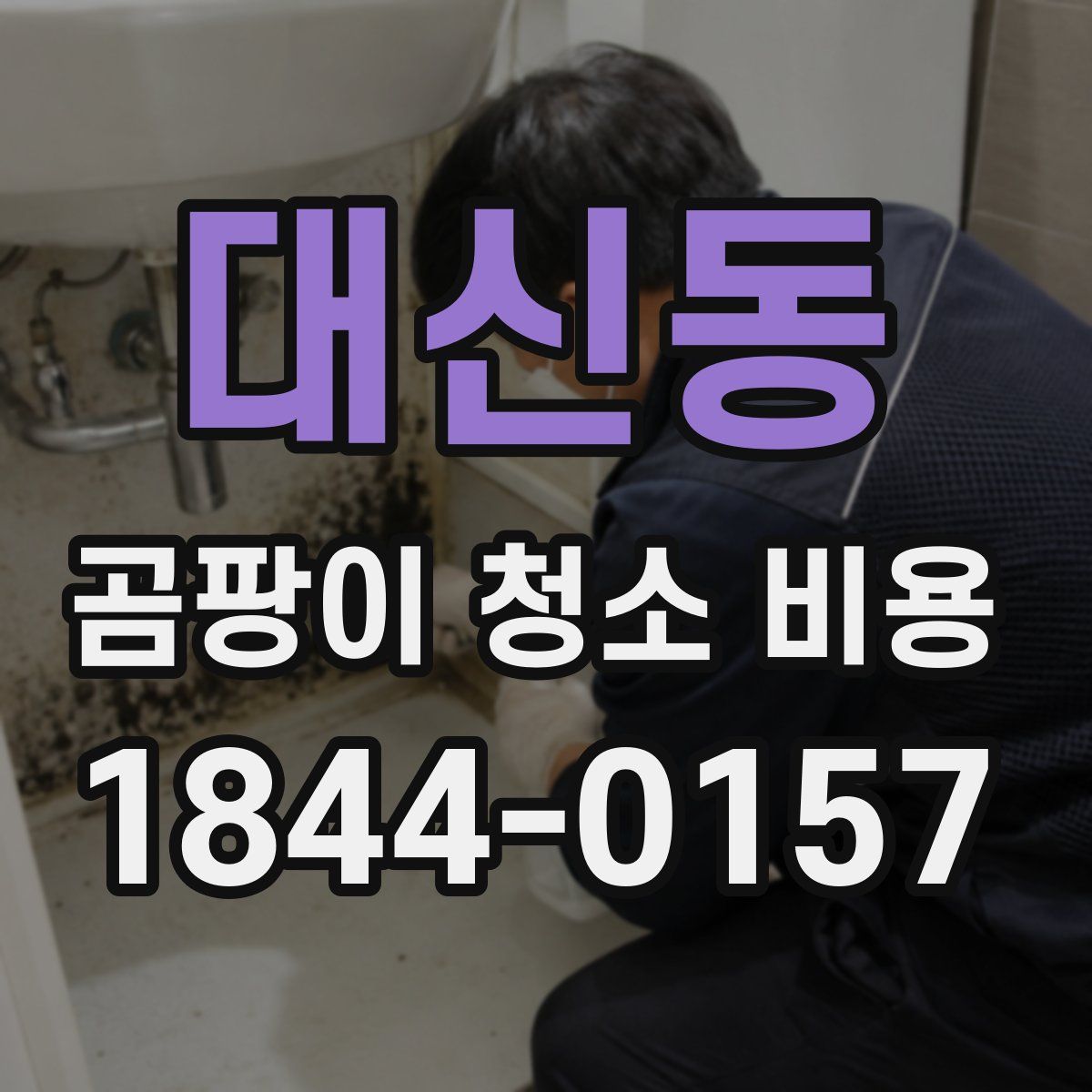대신동 곰팡이 청소 비용