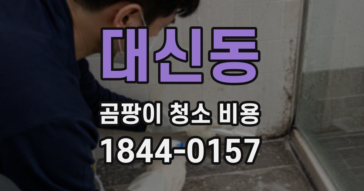 대신동 곰팡이 청소 비용