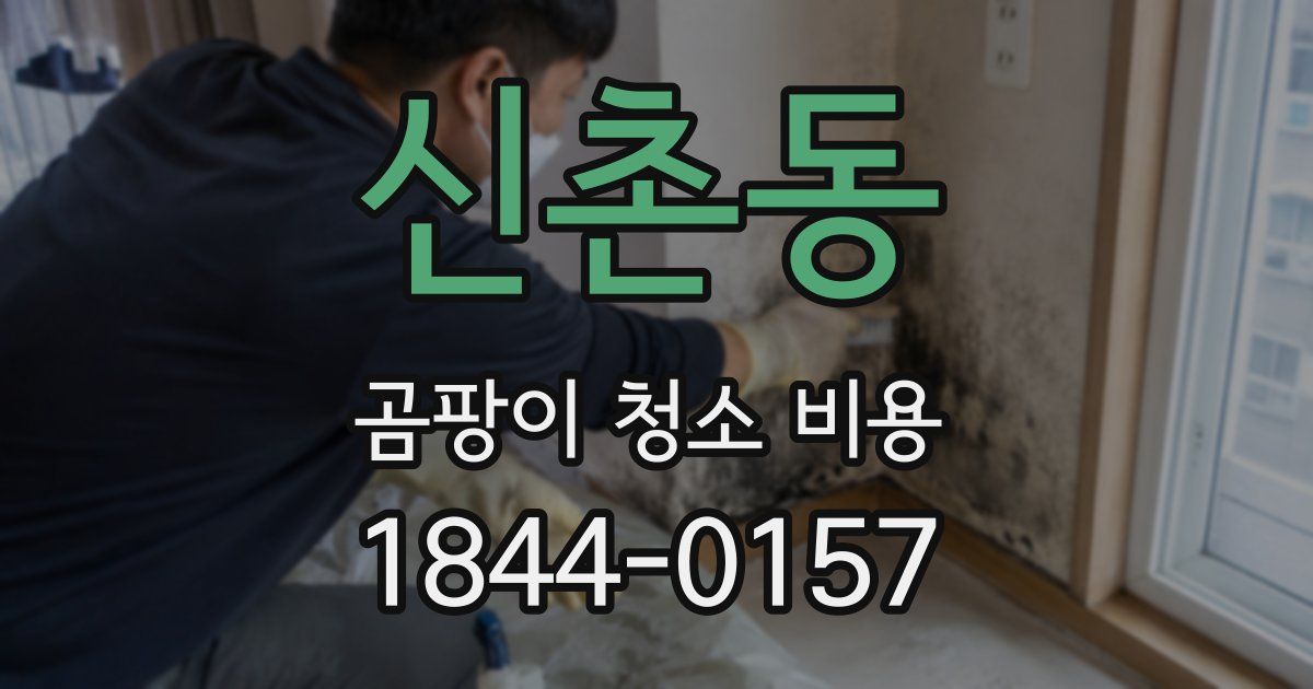 신촌동 곰팡이 청소 비용