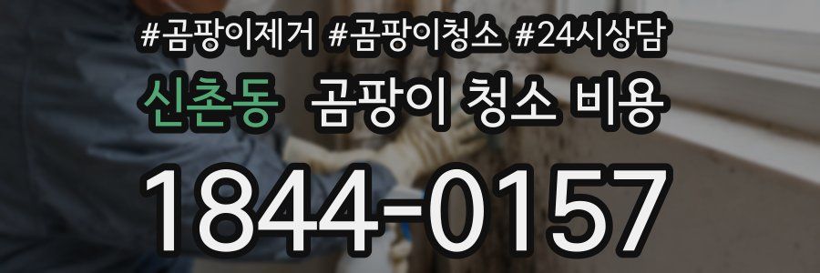 신촌동 곰팡이 청소 비용