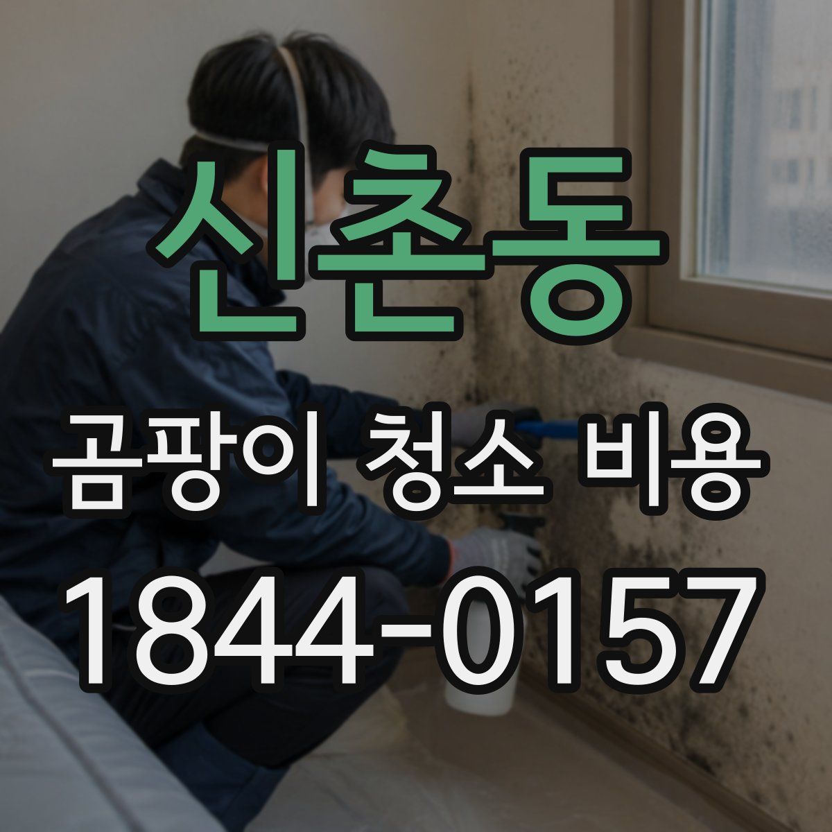 신촌동 곰팡이 청소 비용