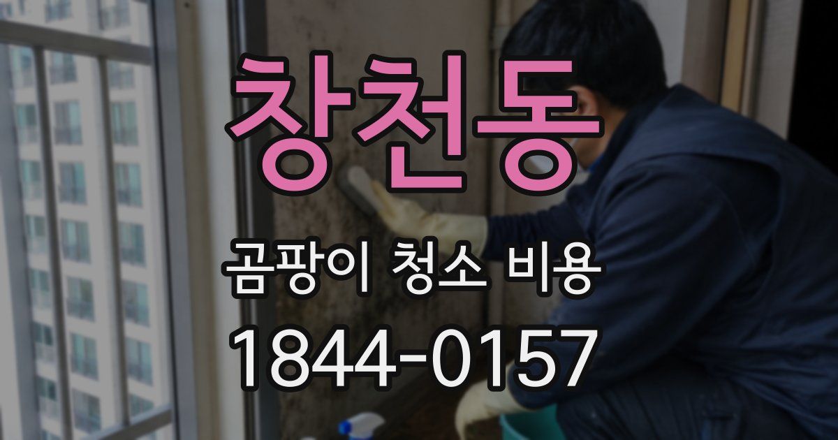 창천동 곰팡이 청소 비용