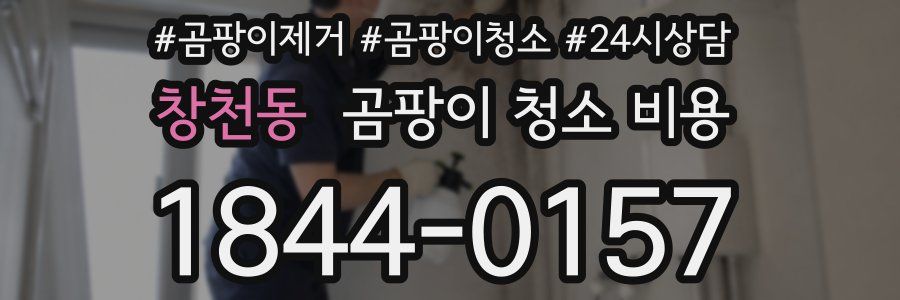 창천동 곰팡이 청소 비용