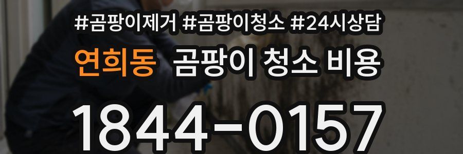연희동 곰팡이 청소 비용