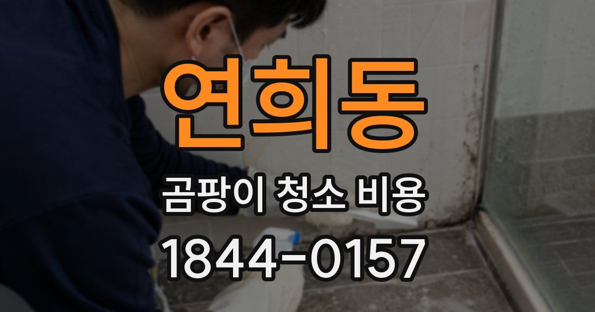 연희동 곰팡이 청소 비용