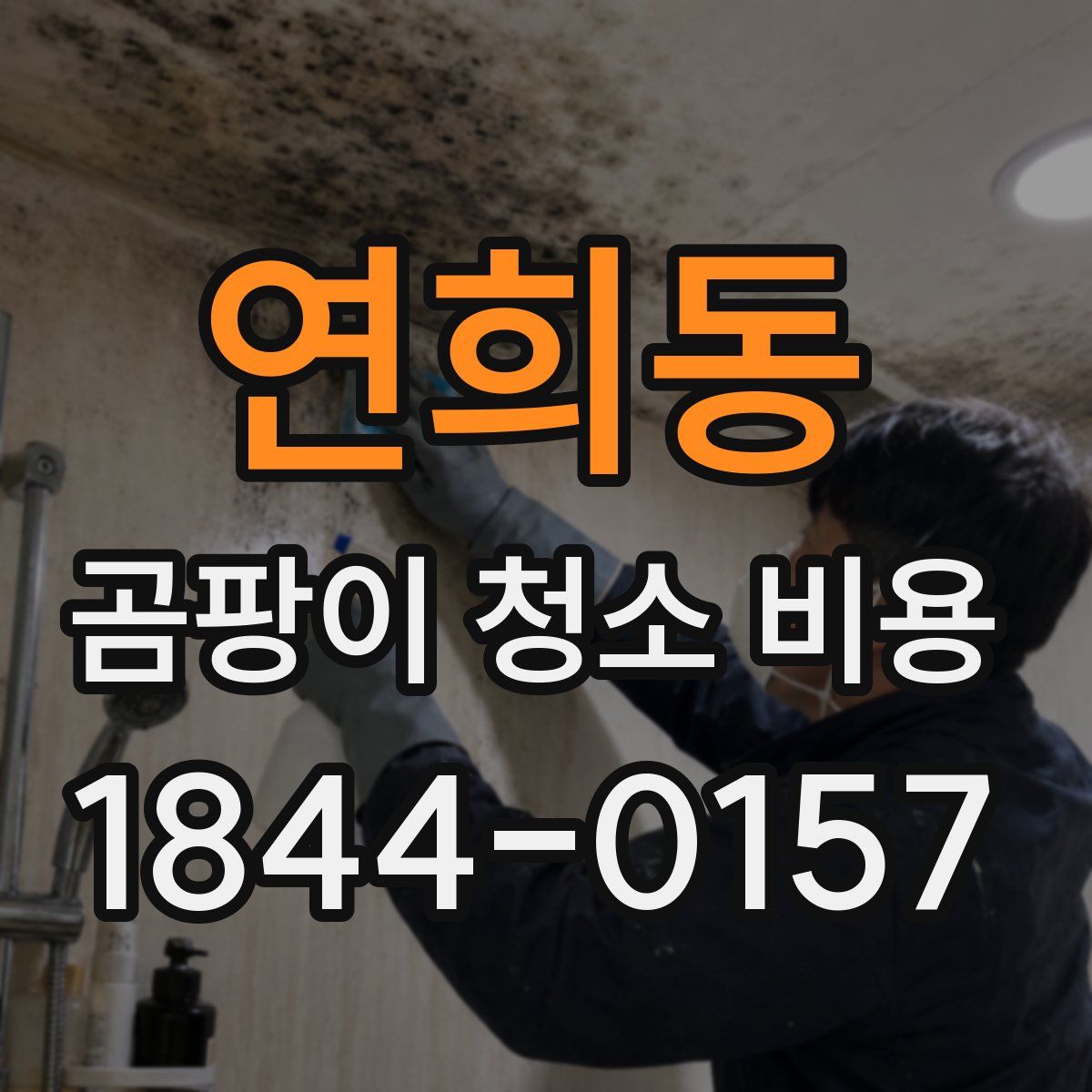 연희동 곰팡이 청소 비용