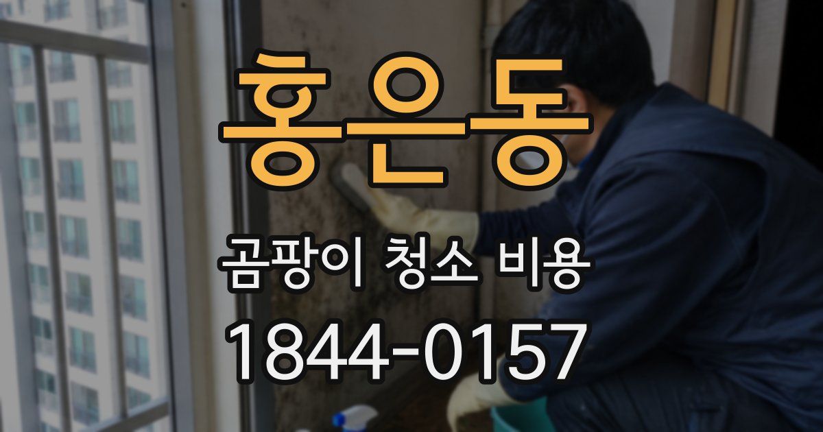홍은동 곰팡이 청소 비용