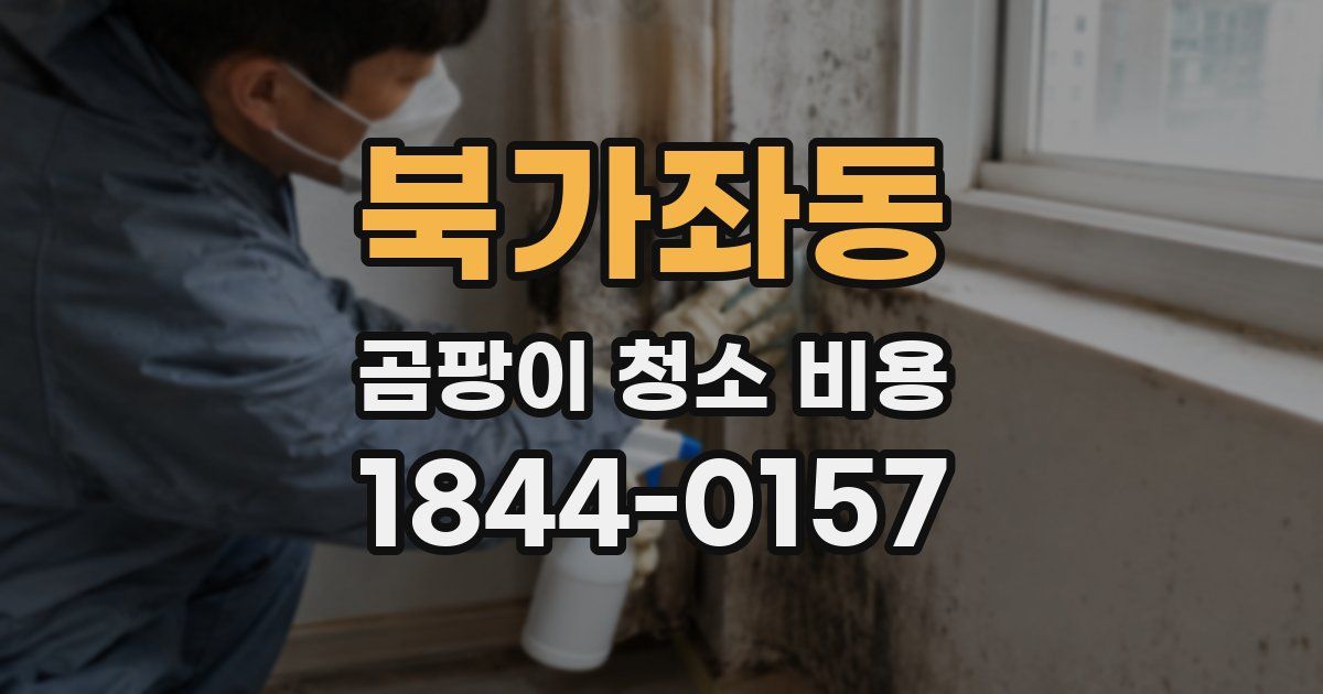 북가좌동 곰팡이 청소 비용
