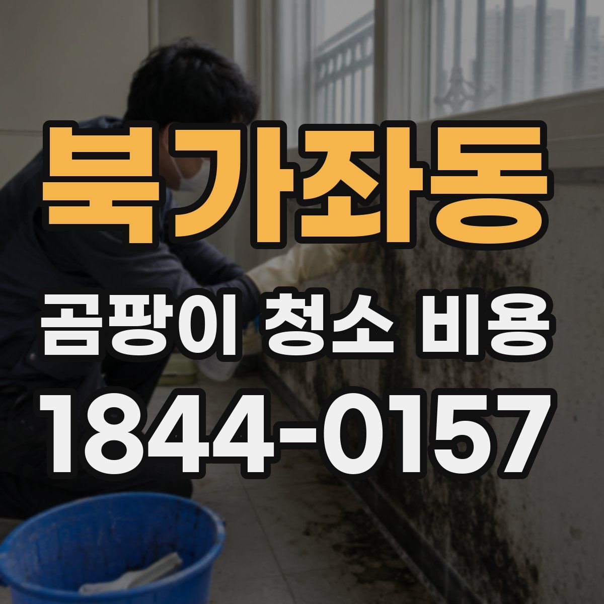 북가좌동 곰팡이 청소 비용