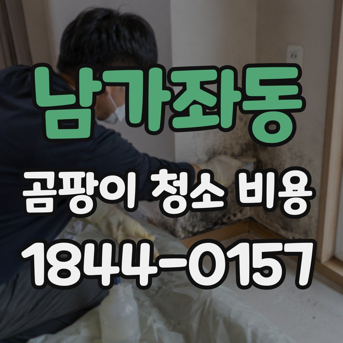 남가좌동 곰팡이 청소 비용