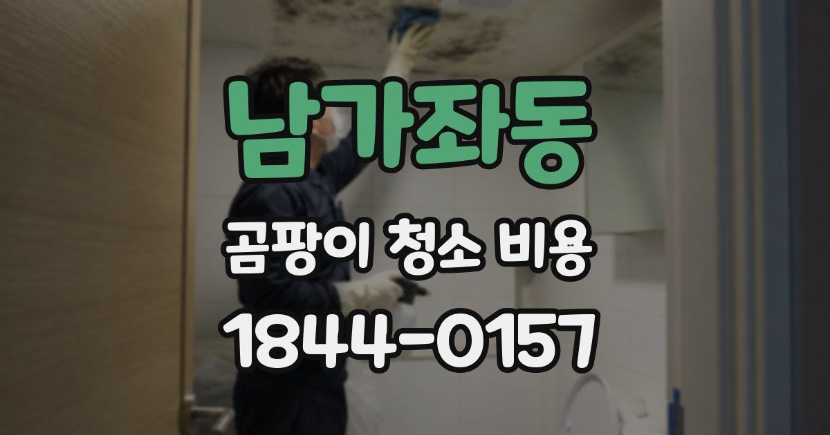 남가좌동 곰팡이 청소 비용