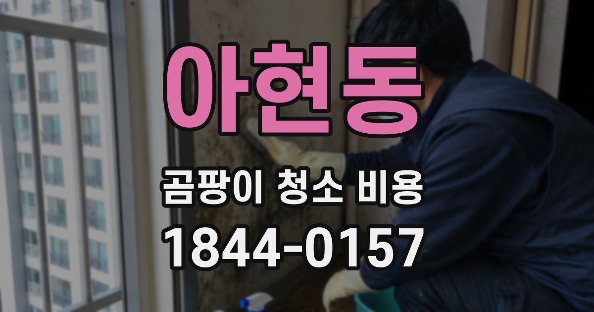 아현동 곰팡이 청소 비용