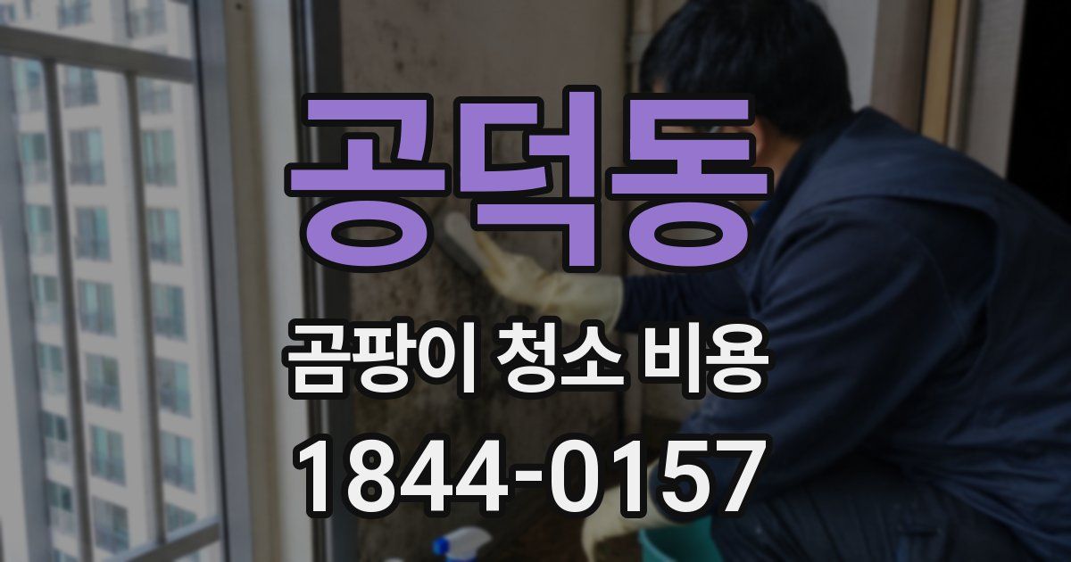공덕동 곰팡이 청소 비용