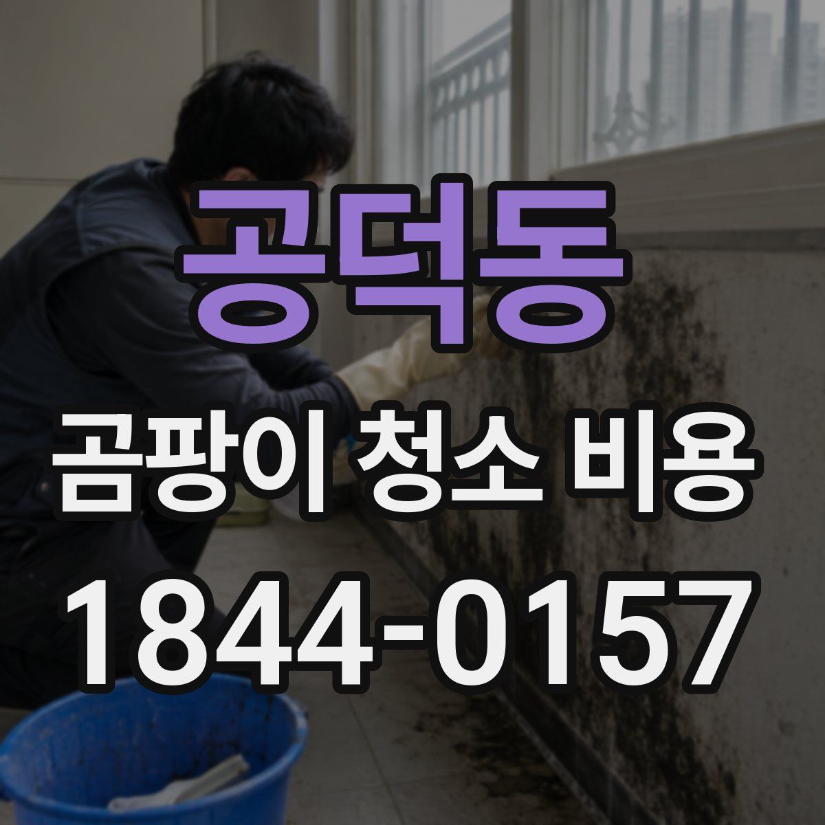 공덕동 곰팡이 청소 비용