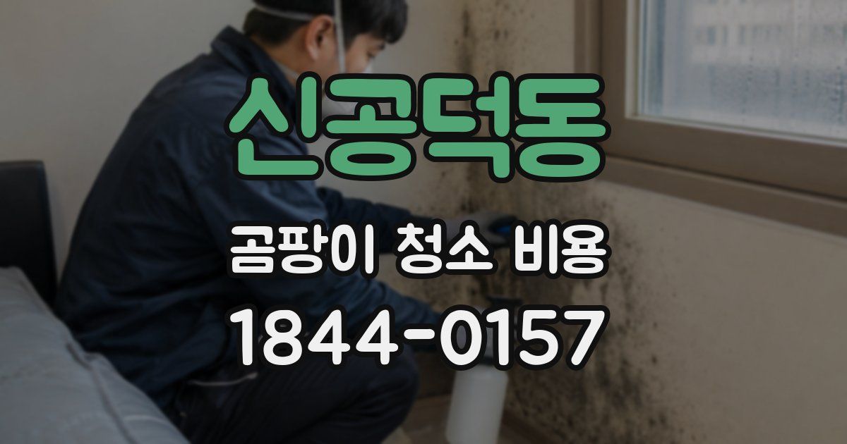 신공덕동 곰팡이 청소 비용