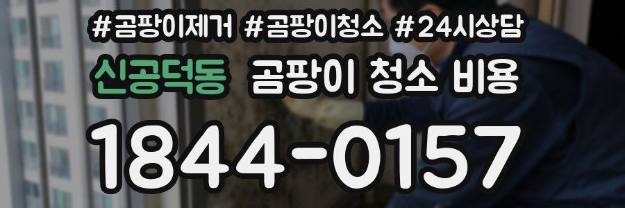 신공덕동 곰팡이 청소 비용