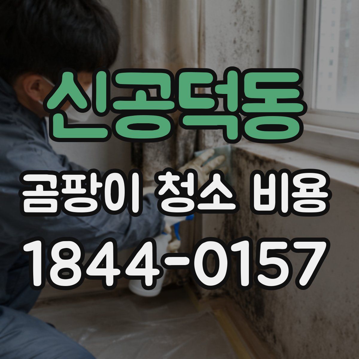 신공덕동 곰팡이 청소 비용