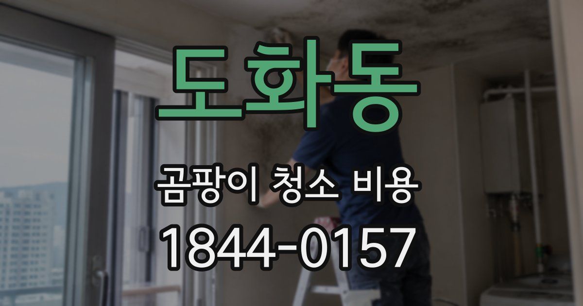 도화동 곰팡이 청소 비용