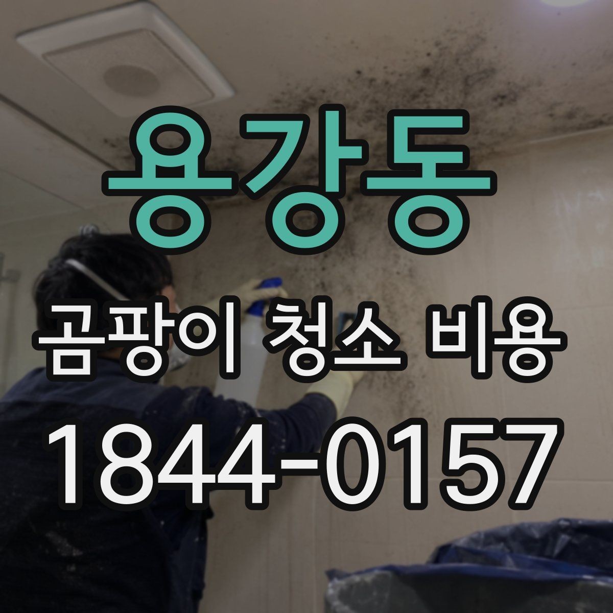용강동 곰팡이 청소 비용 침구와 매트리스에 생겼을 때 대처법