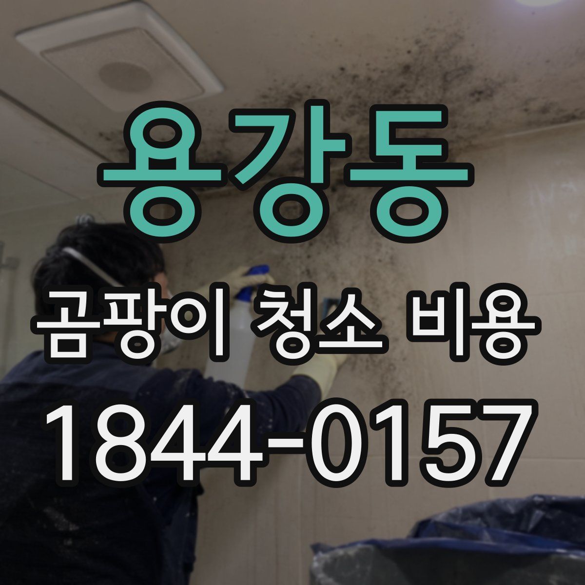 용강동 곰팡이 청소 비용
