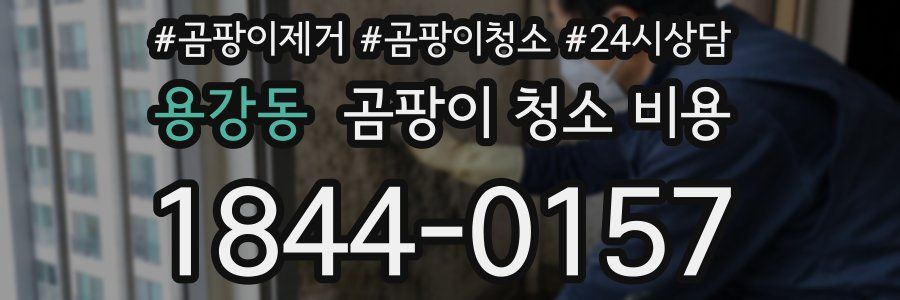 용강동 곰팡이 청소 비용
