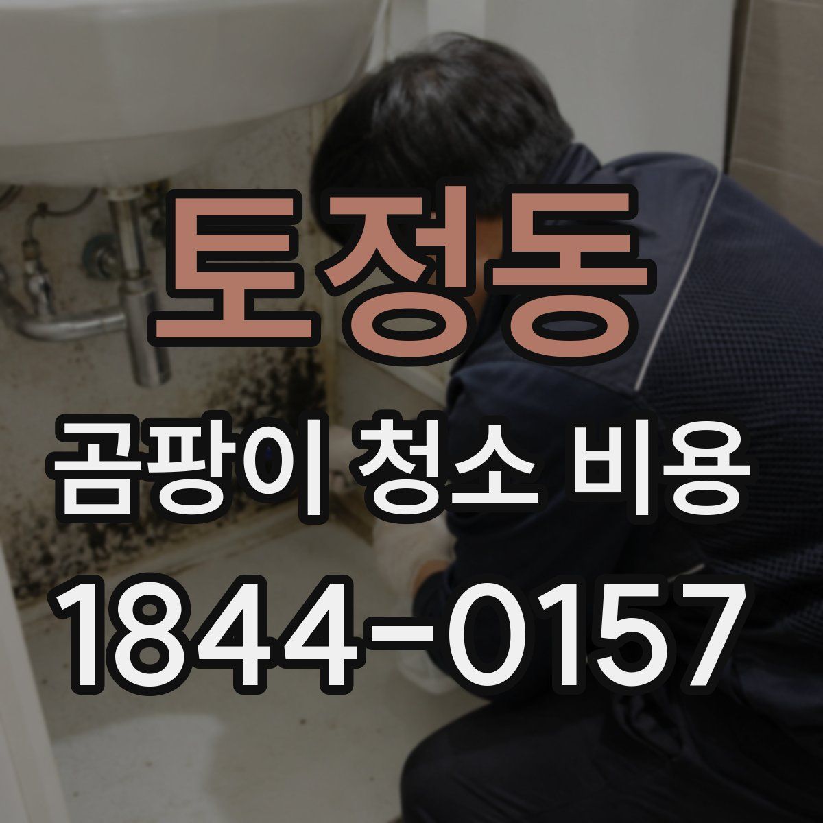 토정동 곰팡이 청소 비용